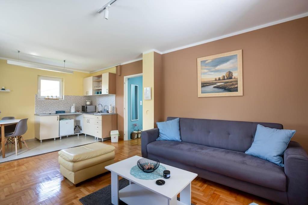 Apartamento Charlie&Blueberries Belgrado Exterior foto